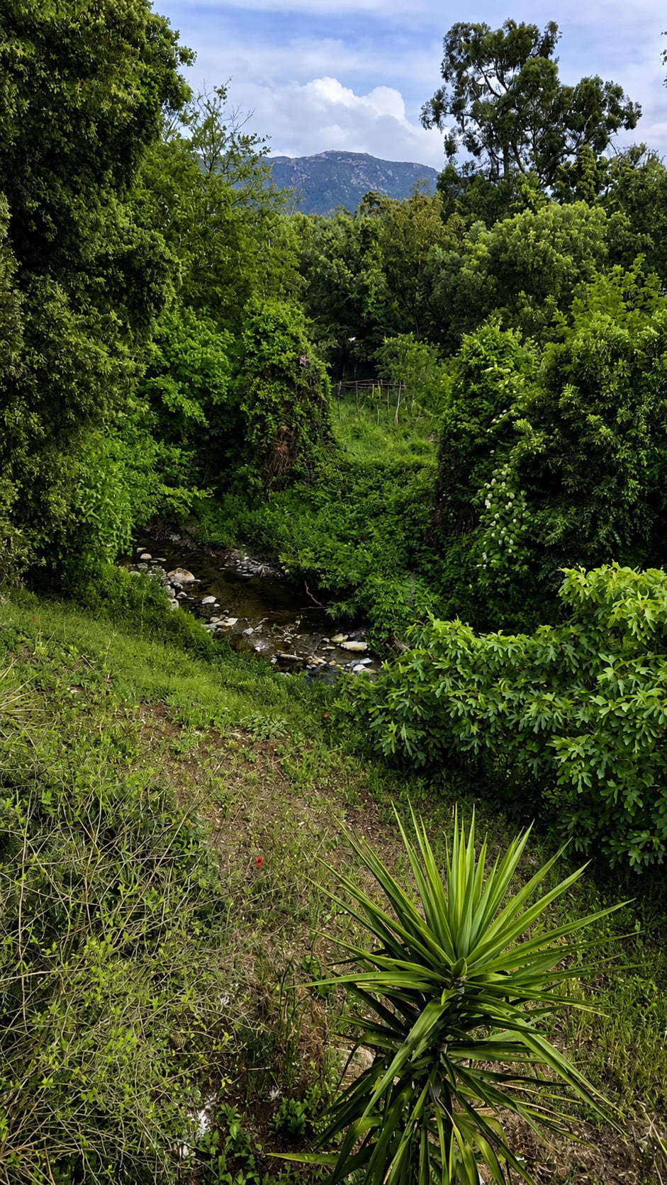 B42AA48D-F247-48D0-A871-512C0750787A